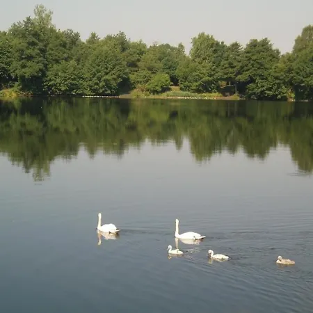 In Silbersee